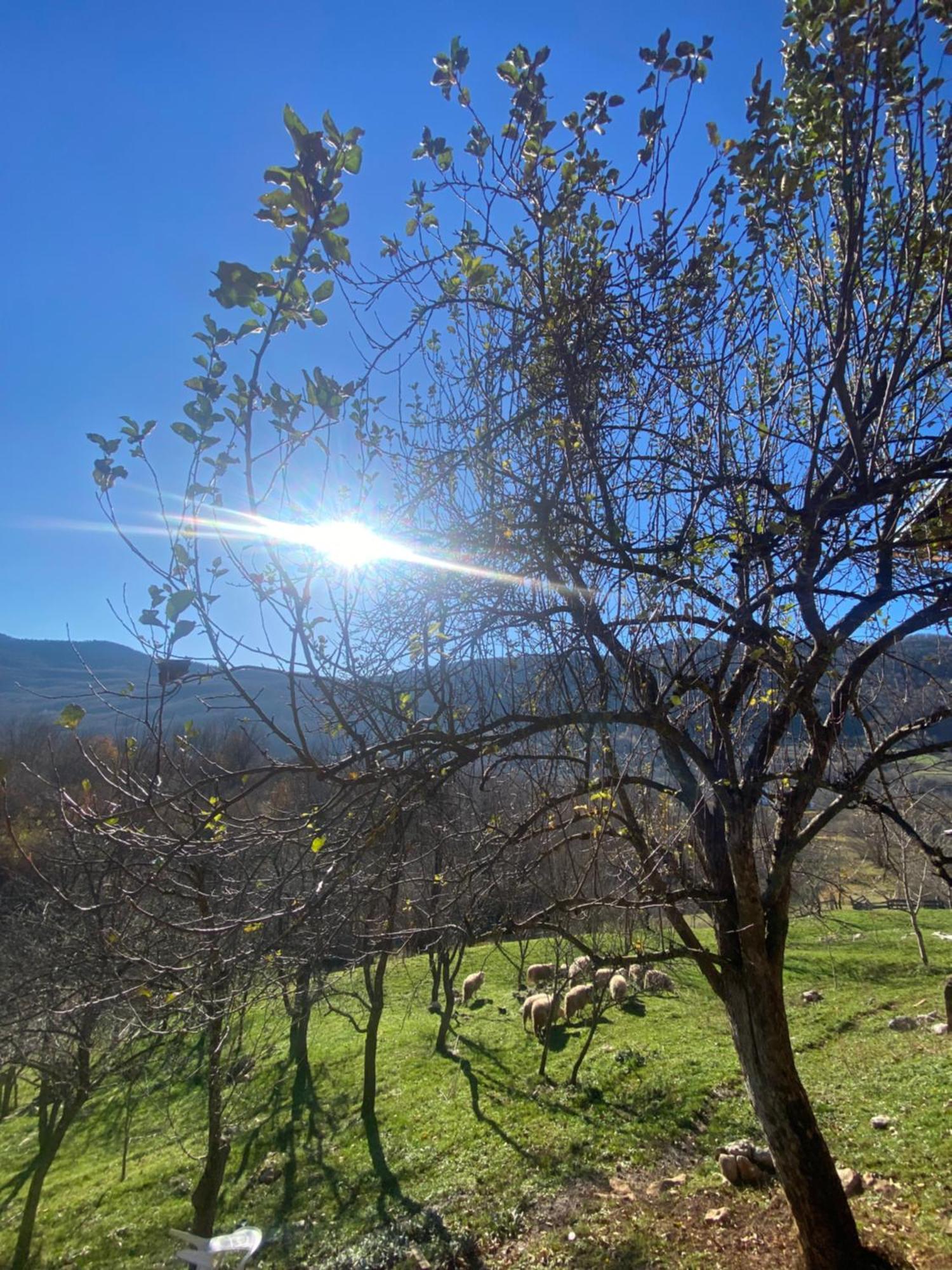 Apartman Kremen Kuterevo Bagian luar foto